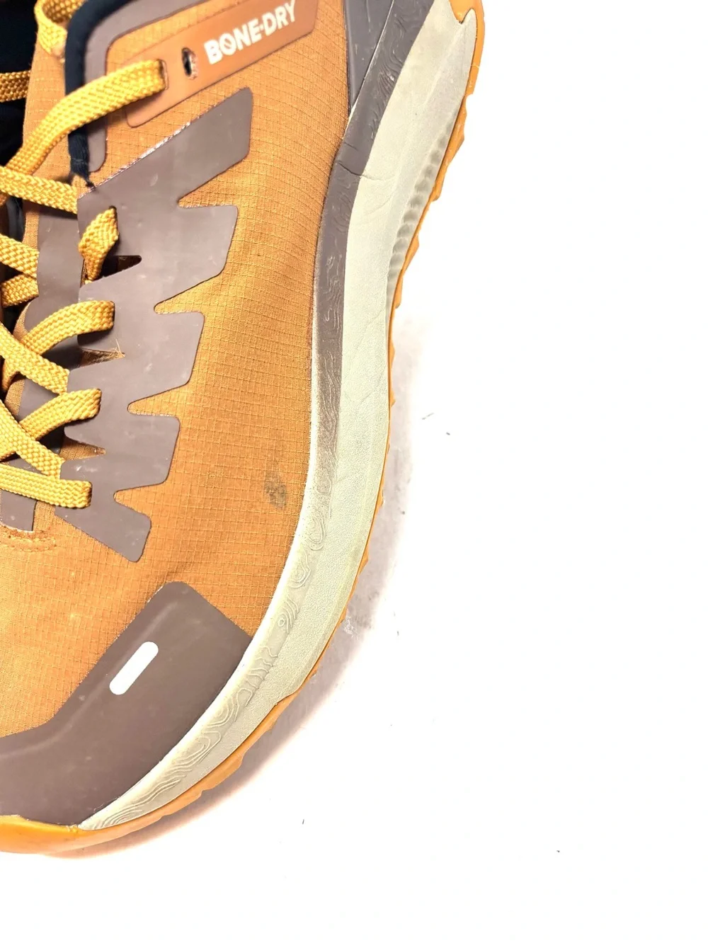 Ascend Sneakers